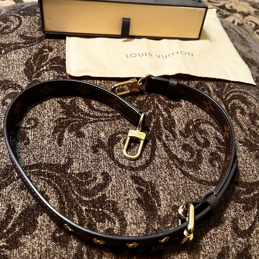 Authentic Louis Vuitton Eden PM Strap